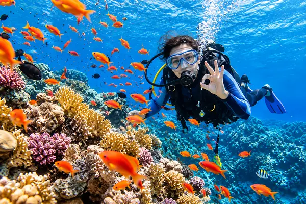 Diving in the Red Sea